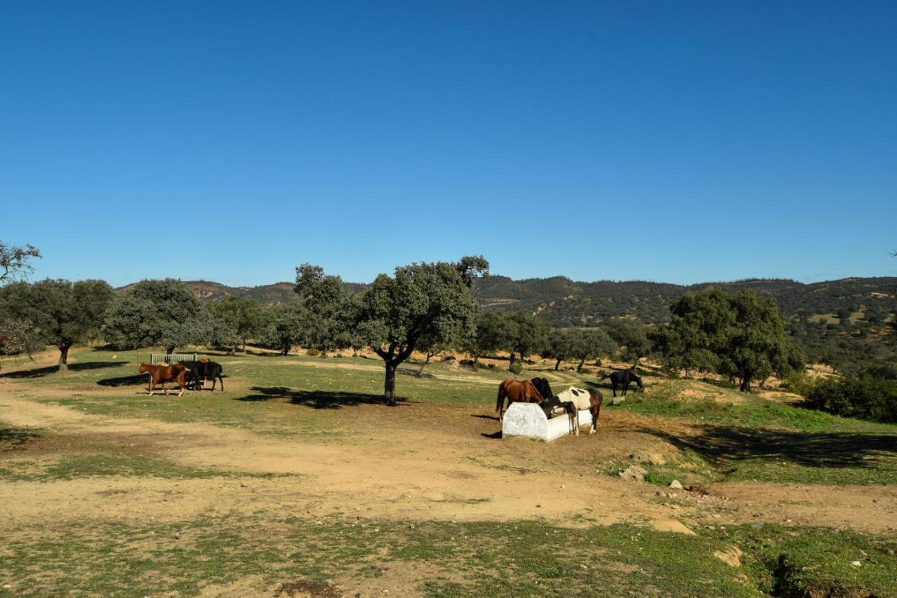 Santa Maria De Canadas * El Garrobo